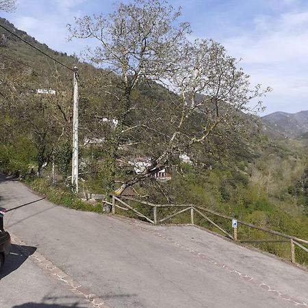Aparatamento Rural El Oso 3 Pola de Somiedo Esterno foto
